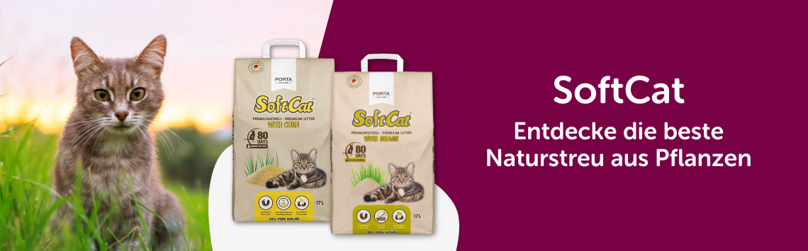 SoftCat im Angebot