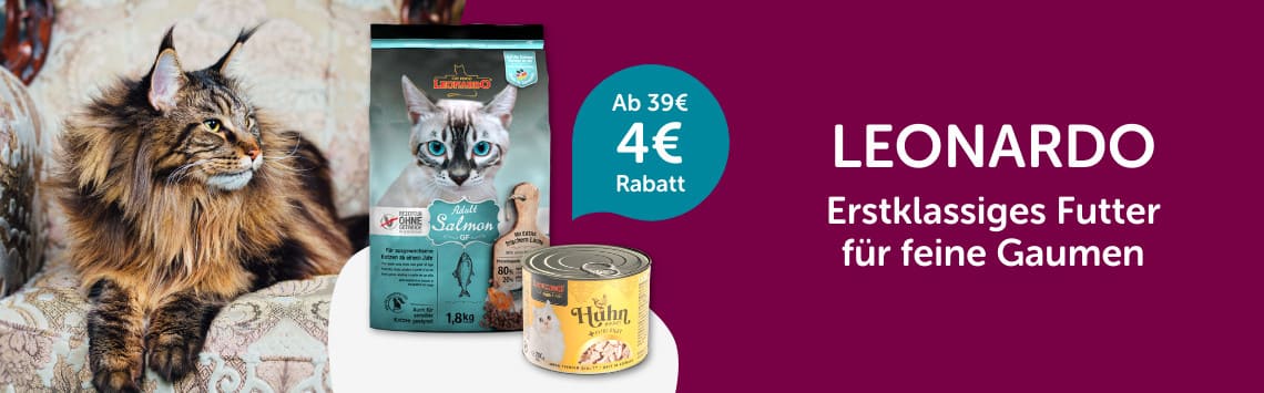 4€ Rabatt auf Leonardo