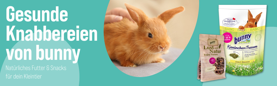 Entdecke Bunny