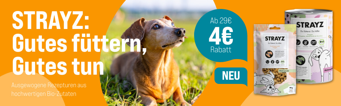 4€ Rabatt auf STRAYZ