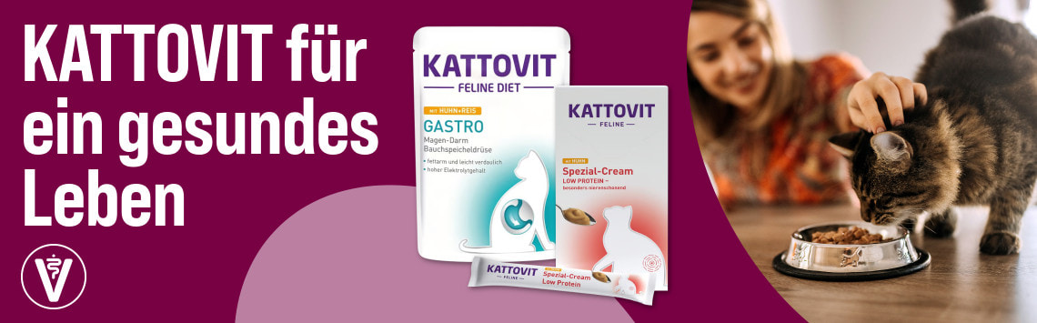 Entdecke Kattovit