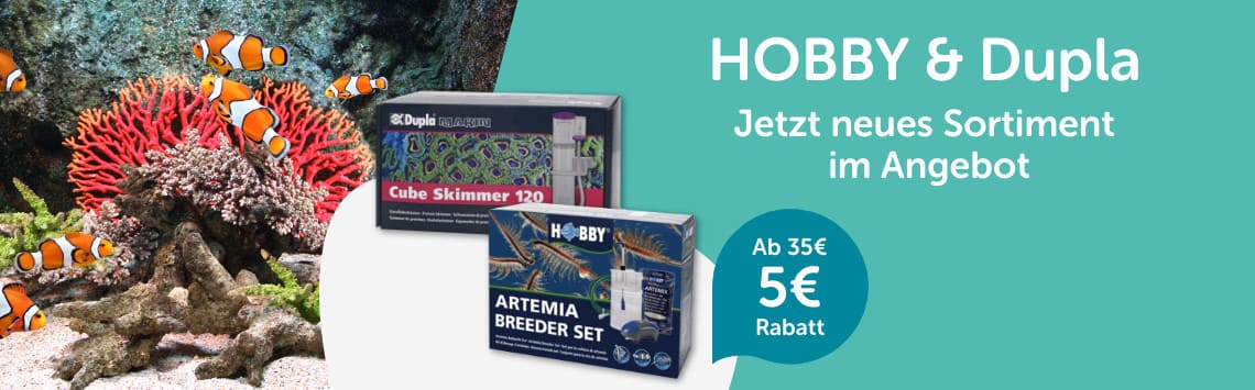5€ auf Hobby & Dupla