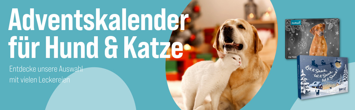 Adventskalender 50% reduziert