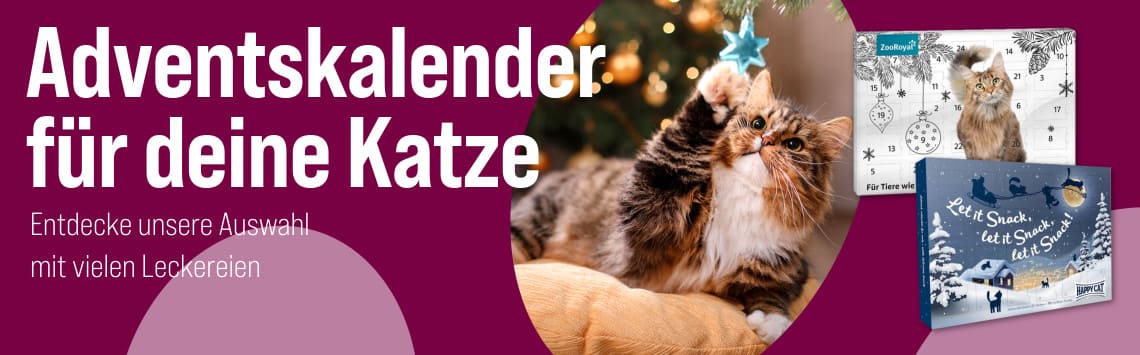 XMAS Adventskalender 50% reduziert