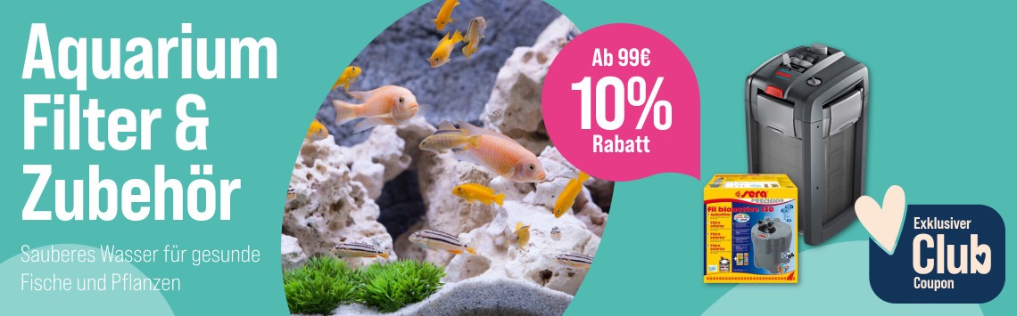 10% auf Filter & Zubehör