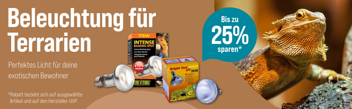 Bis zu 25% auf Beleuchtung