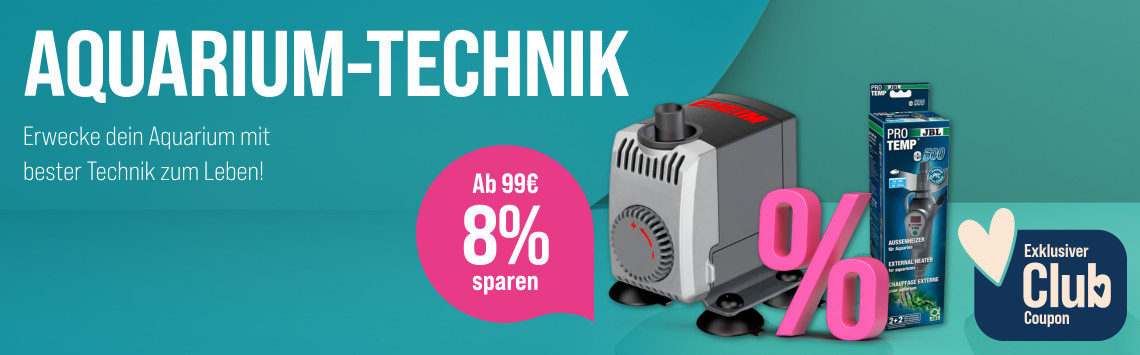 Spare auf Aquarium-Technik