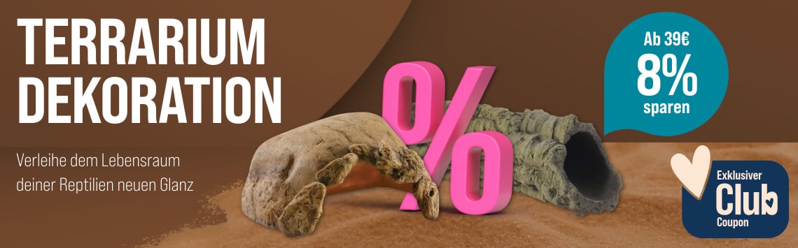 Spare 8 % auf Dekoration