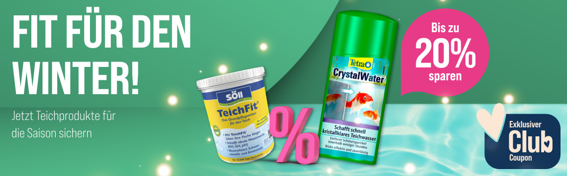 Spare auf Winterpfelge