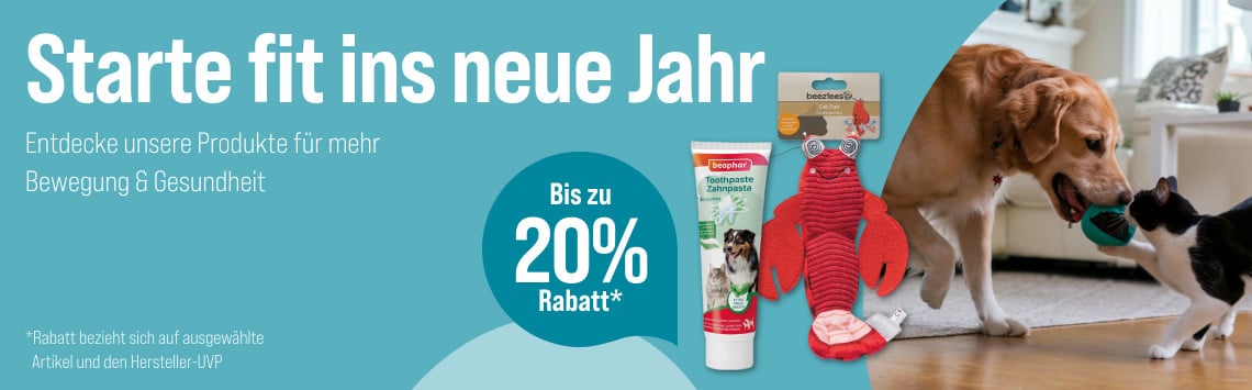 Fit ins neue Jahr