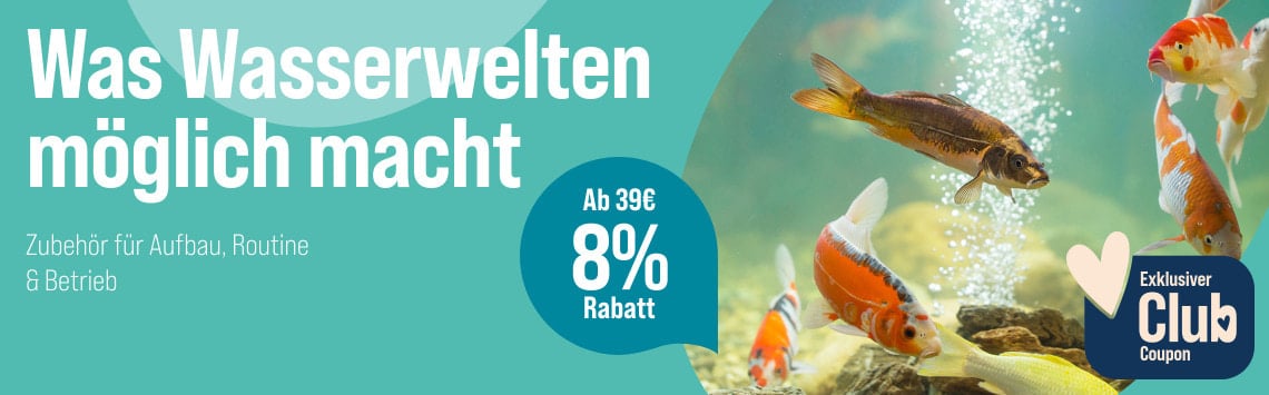 Spare 8 % auf Zubehör