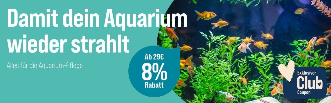 8 % sparen ab 29 €