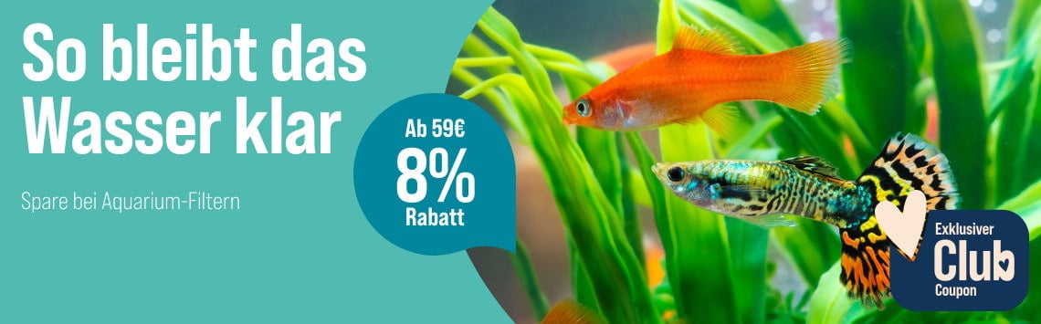 8 % sparen ab 59 €