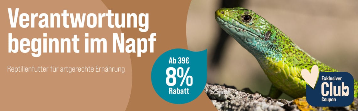 8 % sparen ab 39 €