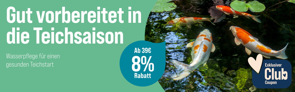 8 % sparen ab 39 €