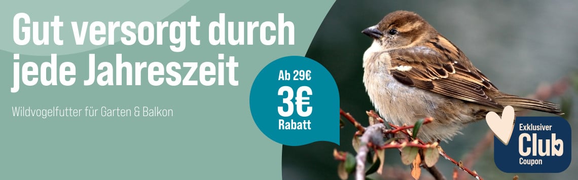 8 % sparen ab 29 €