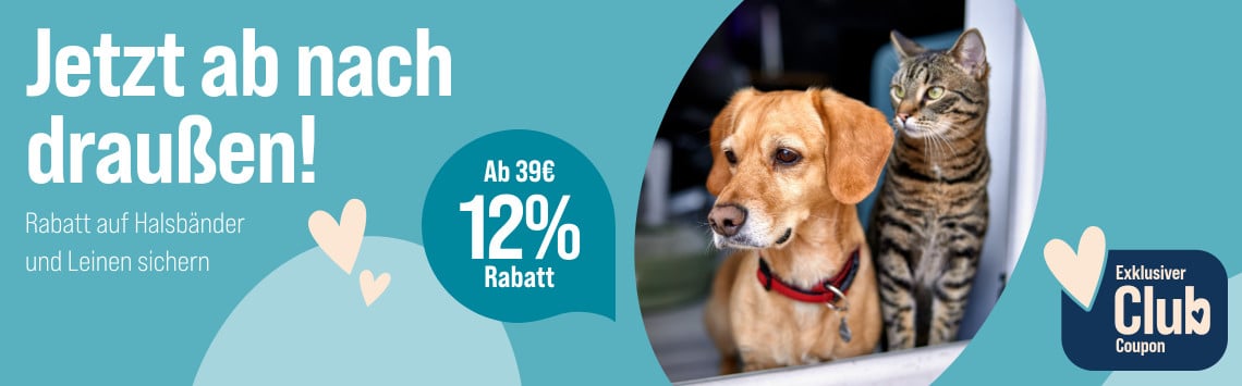 Spare 12 % ab 39 €