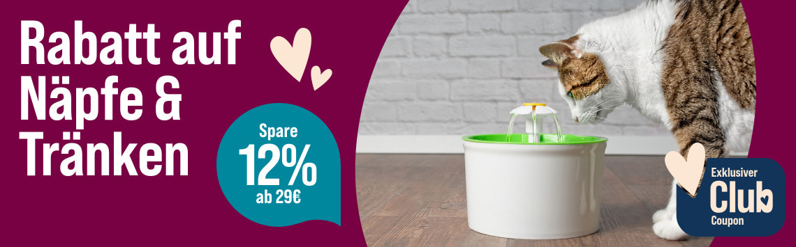 Spare 12 % ab 29 €