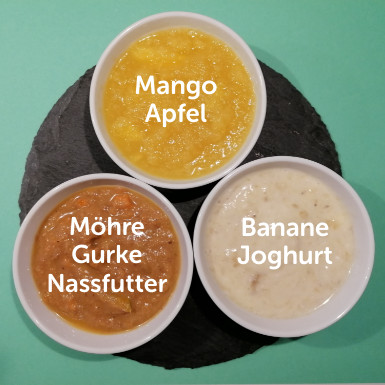 Hundeeis - Schritt 1