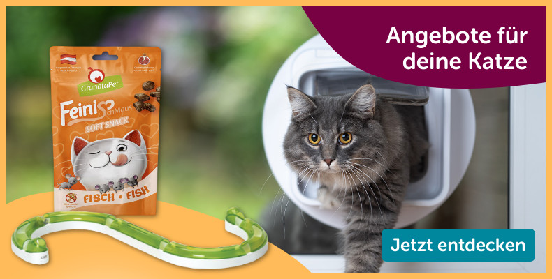Angebote für deine Katzen