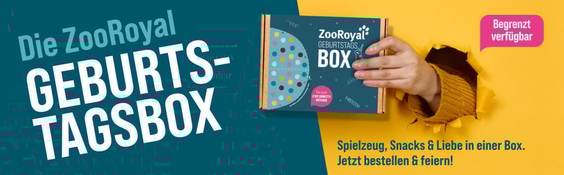 Geburtstagsbox