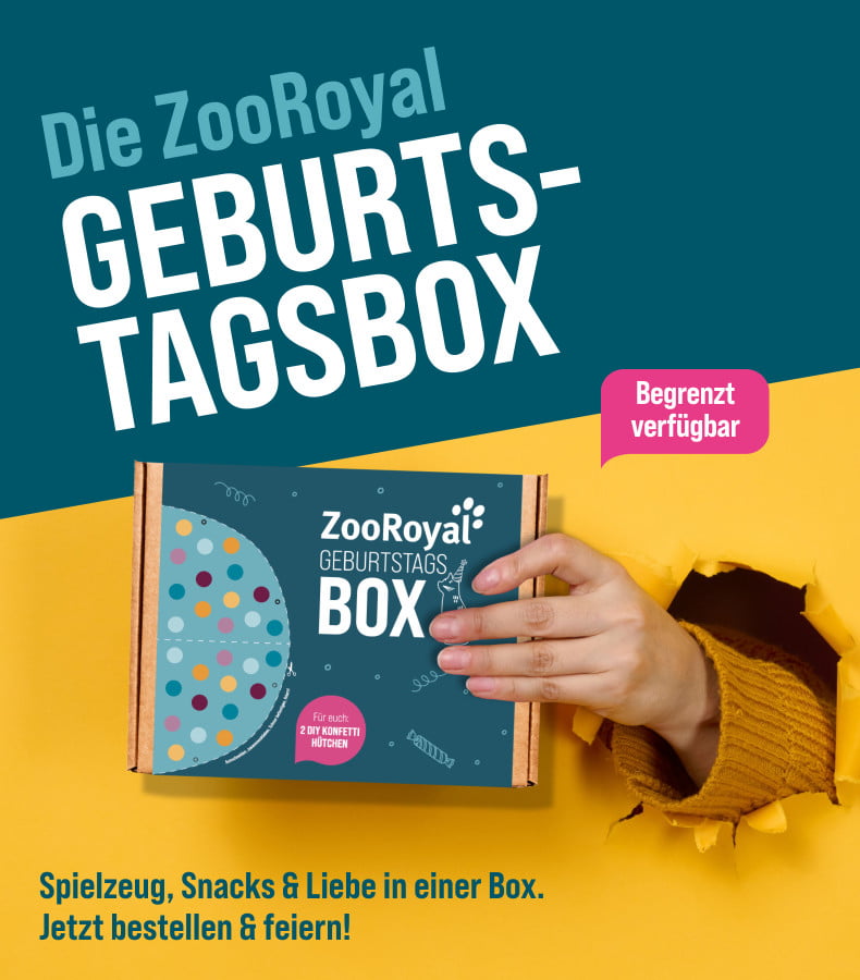 ZooRoyal Schatzkiste