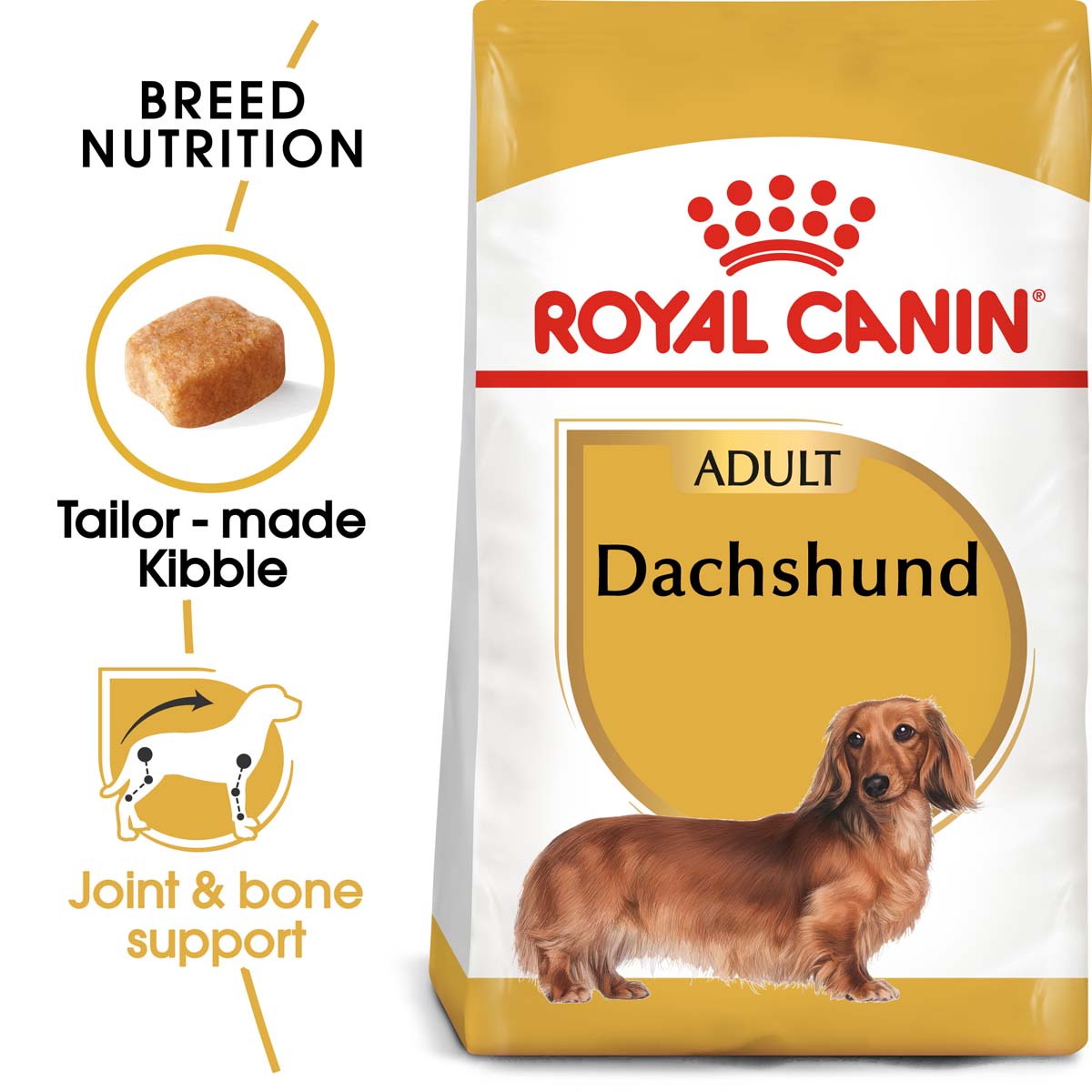 ROYAL CANIN Dachshund Adult Hundefutter trocken für Dackel