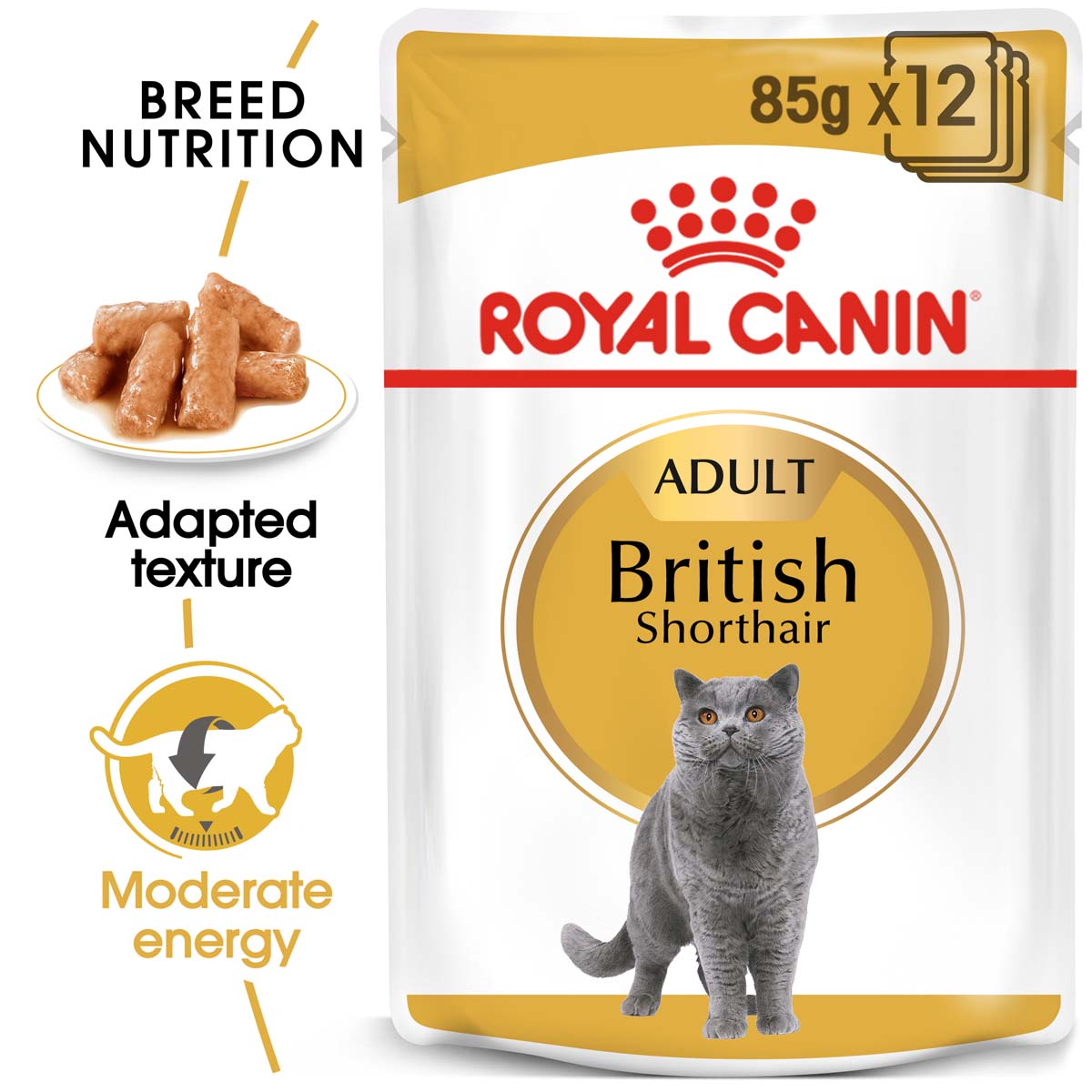 ROYAL CANIN British Shorthair Adult Katzenfutter nass für Britisch Kurzhaar