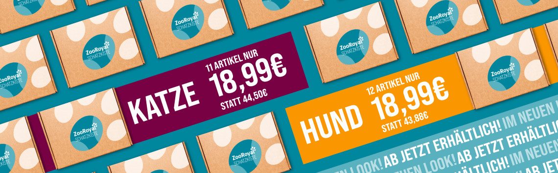 Sommer-Schatzkiste