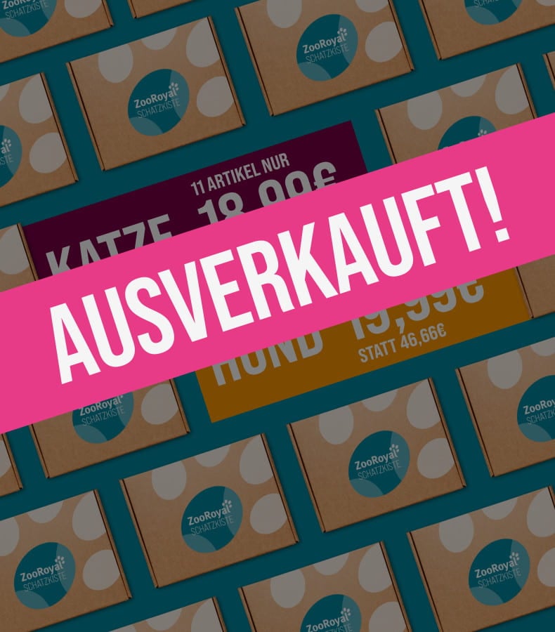 ZooRoyal Schatzkiste