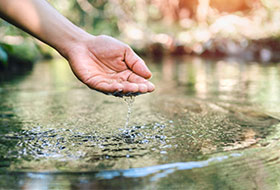 Teich-Wasserpflege
