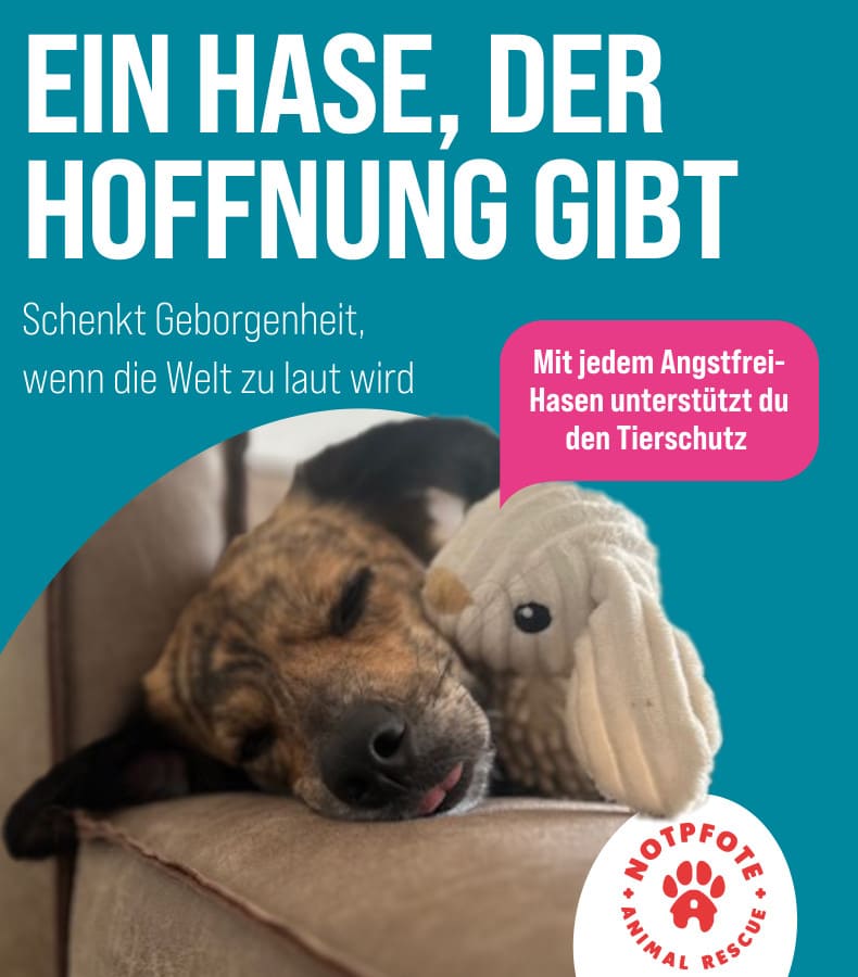 ZooRoyal Schatzkiste