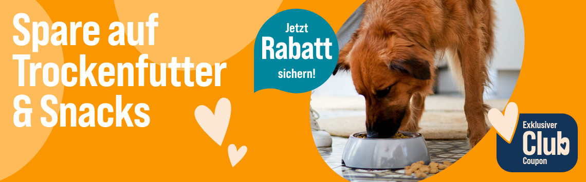 Spare auf Futter & Snacks