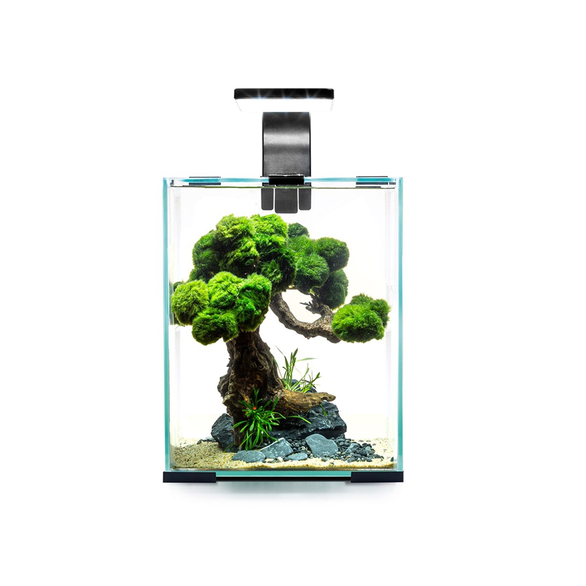 Aquael Shrimp Set Tag &amp; Nacht schwarz