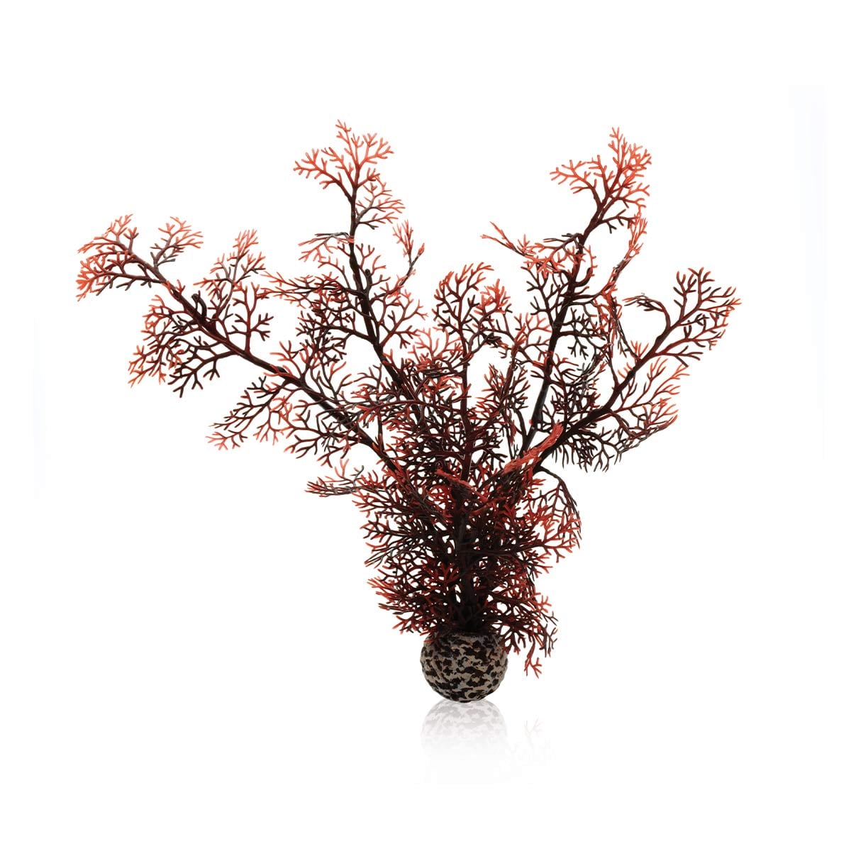 biOrb Hornkoralle dunkelrot