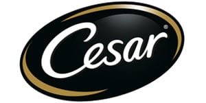Logo Cesar