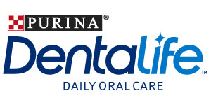 Dentalife