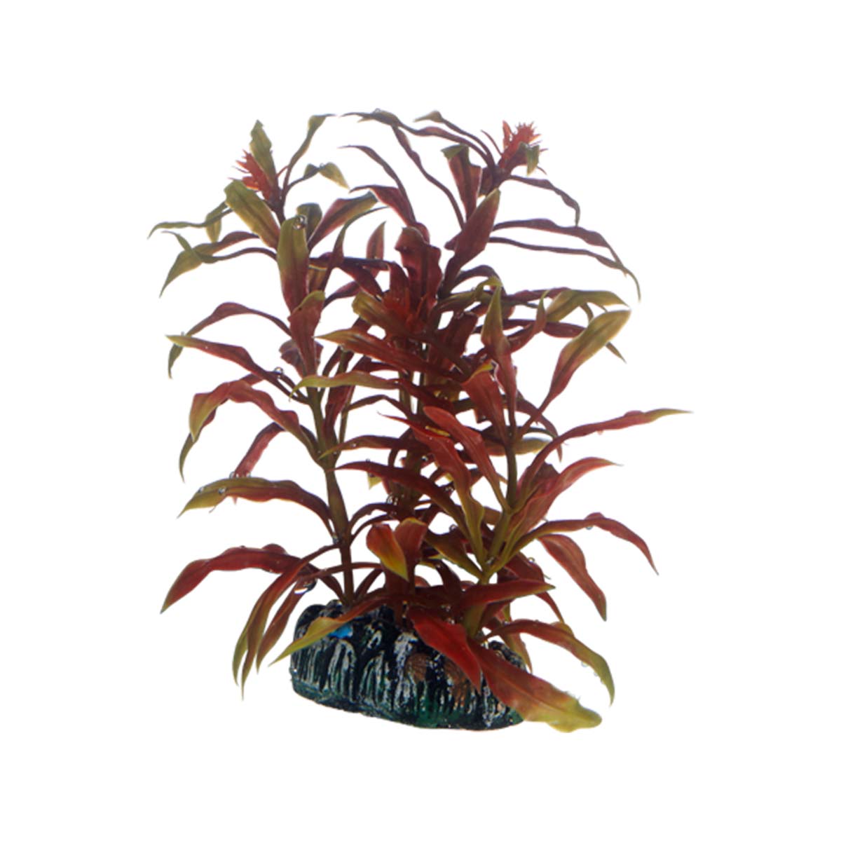 Hobby Aquariumdekoration Nesaea
