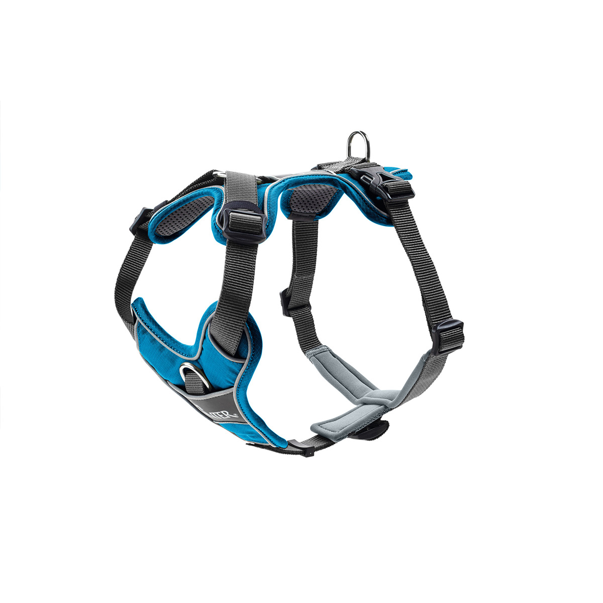 Hunter Geschirr Divo hellblau