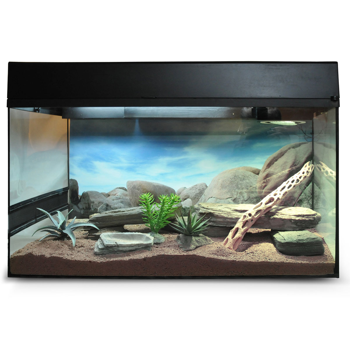 Lucky Reptile Terrarium Starter Kit 50 cm "Wüstengecko"