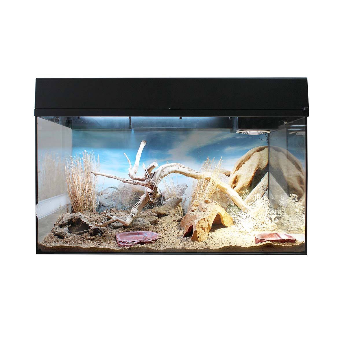 Lucky Reptile Terrarium Starter Kit 80 cm "Bartagame"
