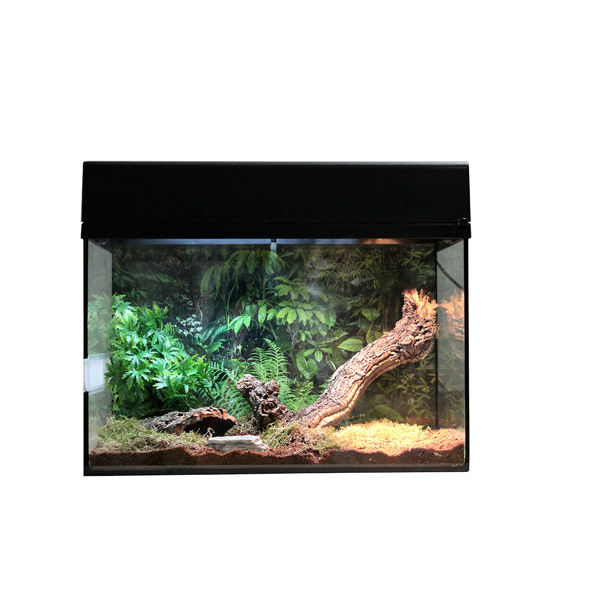 Lucky Reptile Terrarium Starter Kit 50 cm "Spinne + Skorpion"