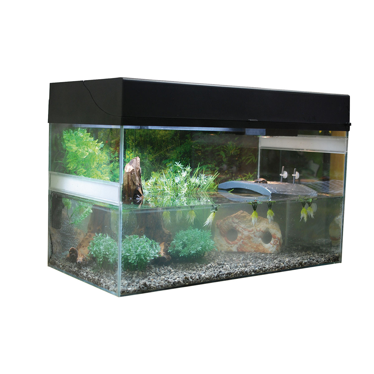 Lucky Reptile Terrarium Starter Kit 80 cm "Wasserschildkröte"