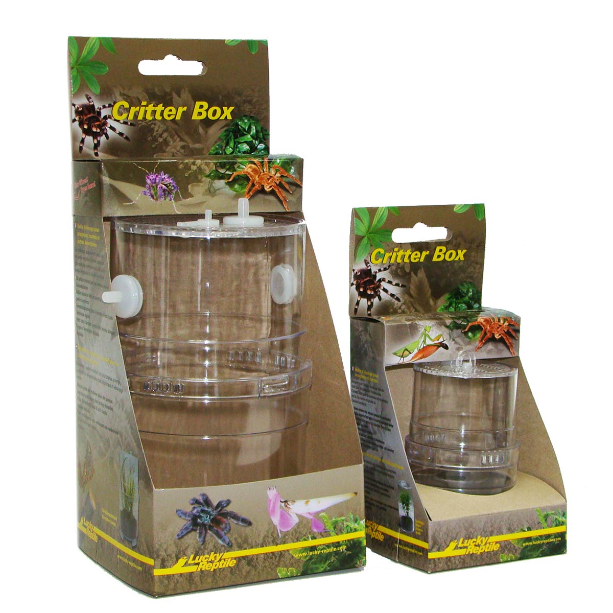 Lucky Reptile Critter Box groß 11x19 cm