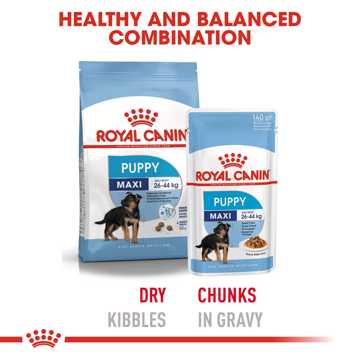 ROYAL CANIN Maxi Puppy 4kg +  Maxi Puppy in Soße 10x140g