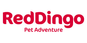Red Dingo