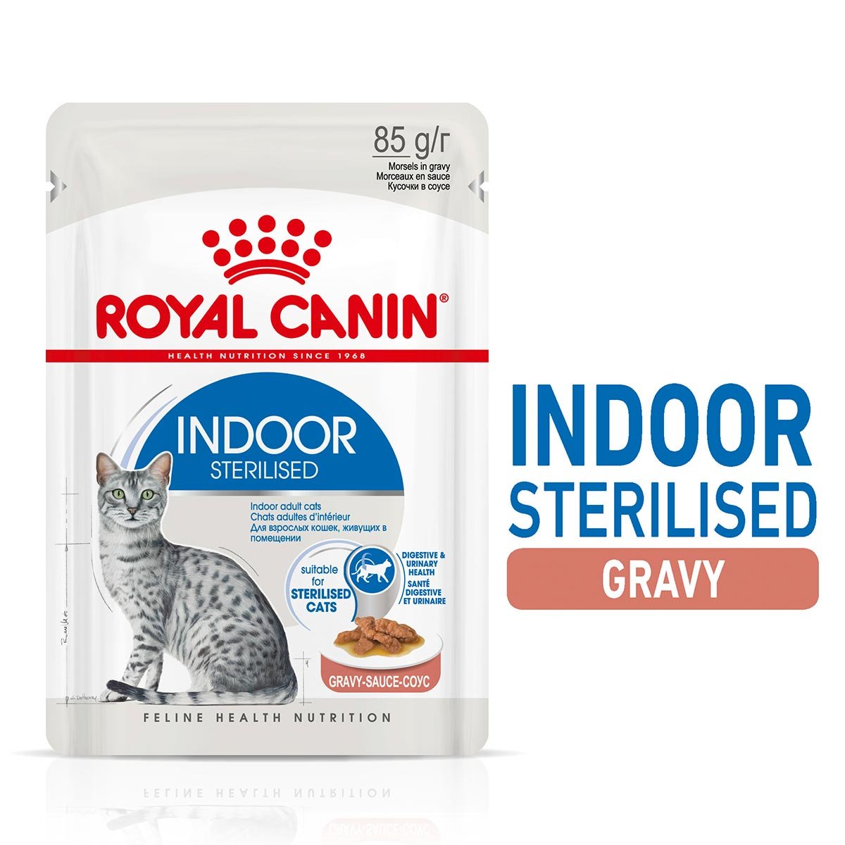 ROYAL CANIN INDOOR Sterilised in Soße Nassfutter für Wohnungskatzen