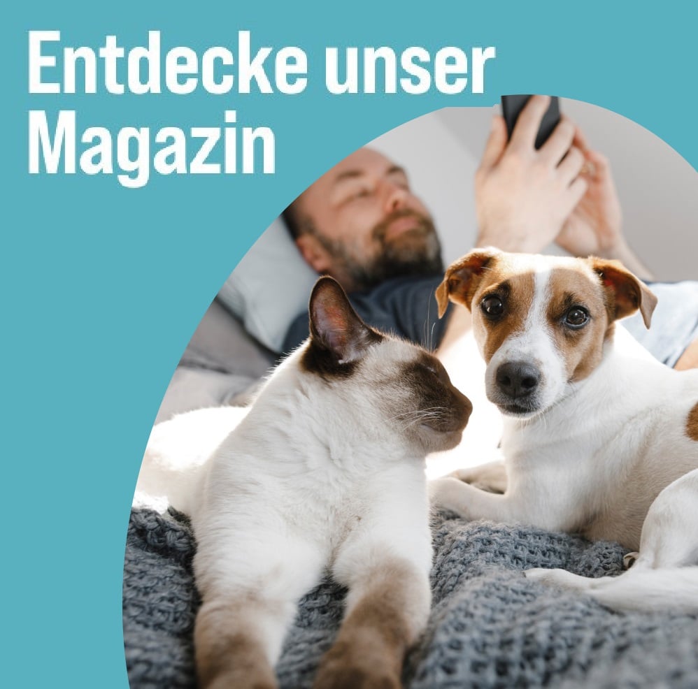 Unser Magazin