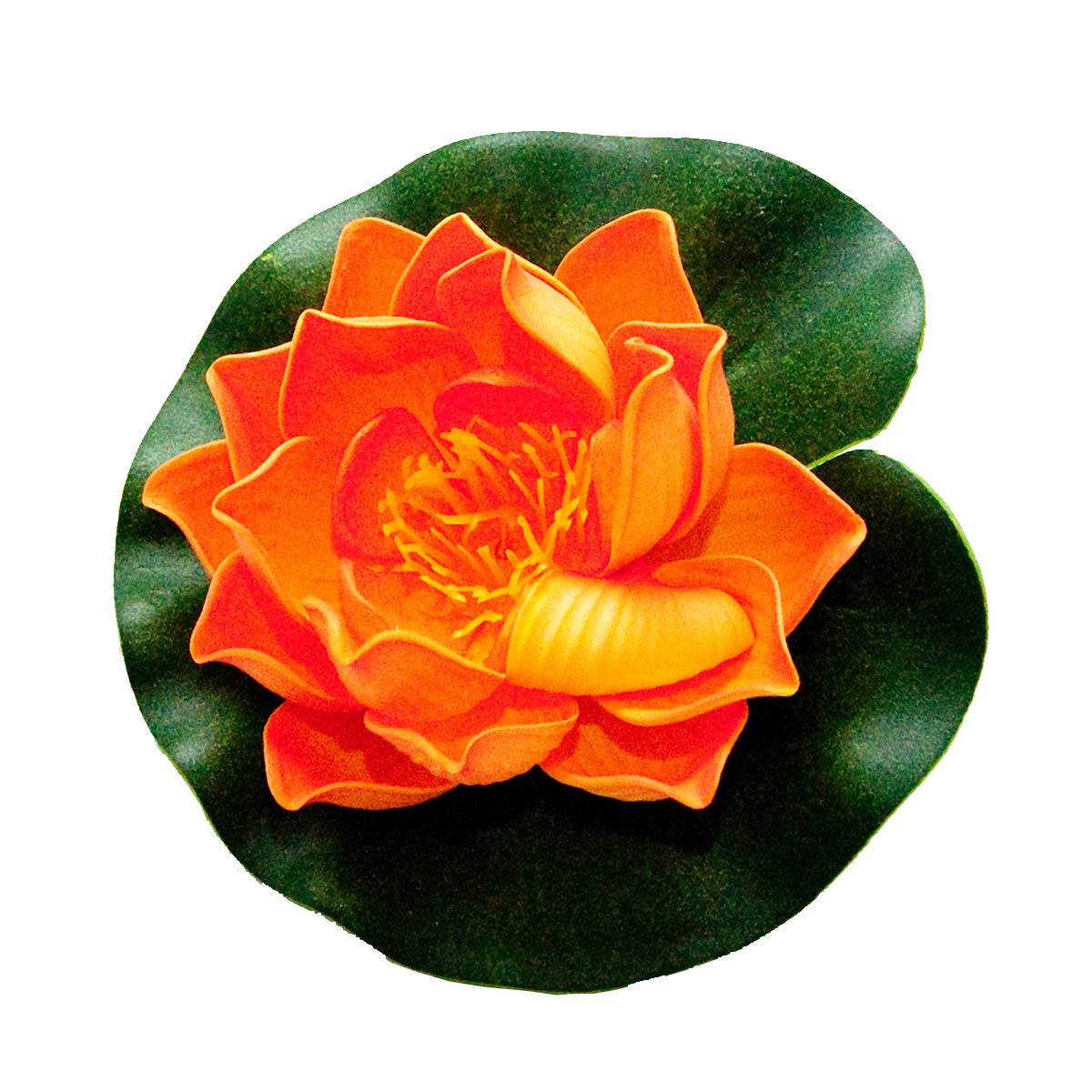 Velda Lotus Foam Orange