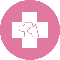 Veterinary Care